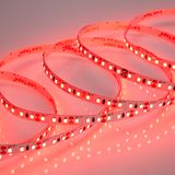 Cветодиодная лента Normal-C 2835 120Led 12V 9.6W IP20 Red