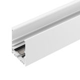 b_DL-12600-0922.jpg