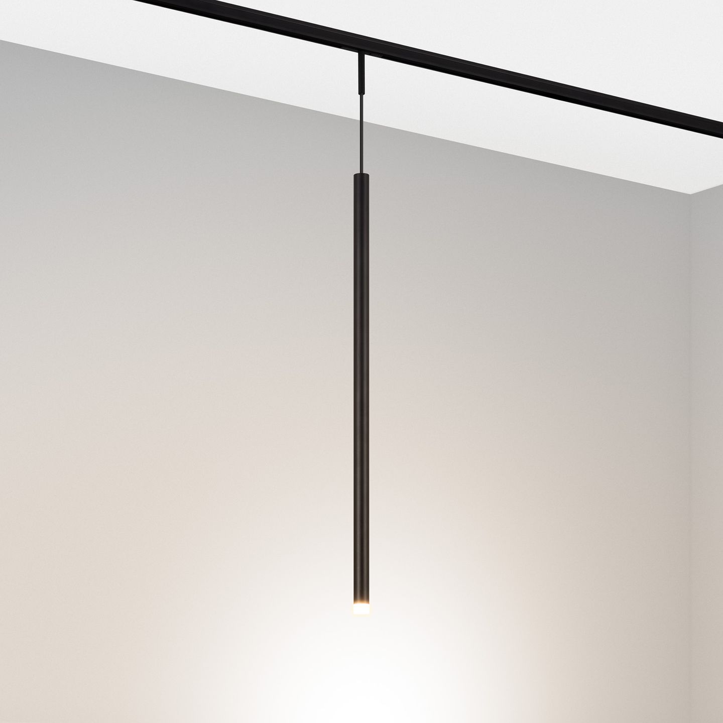 b_DL-12600-0419.jpg