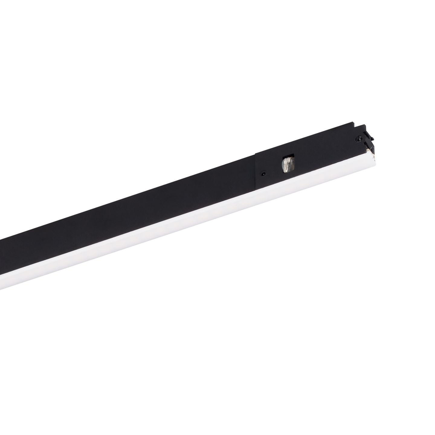b_DL-12600-0424.jpg